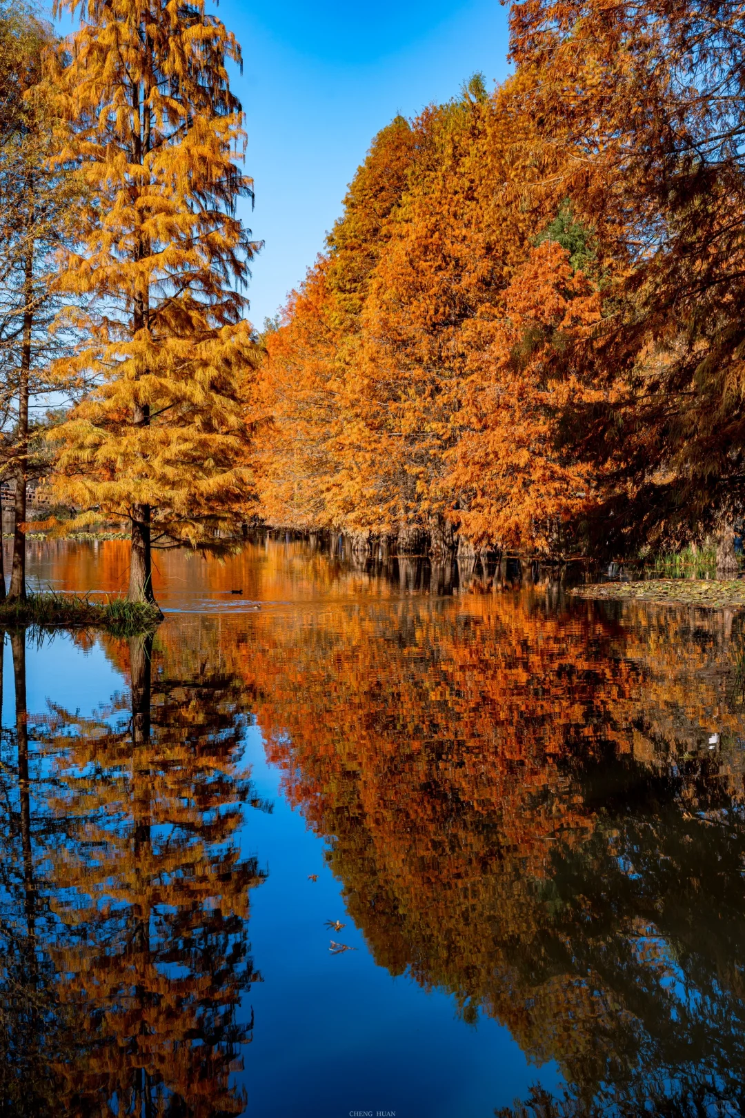 人生建议，秋天来南京旅行不会让你失望的！