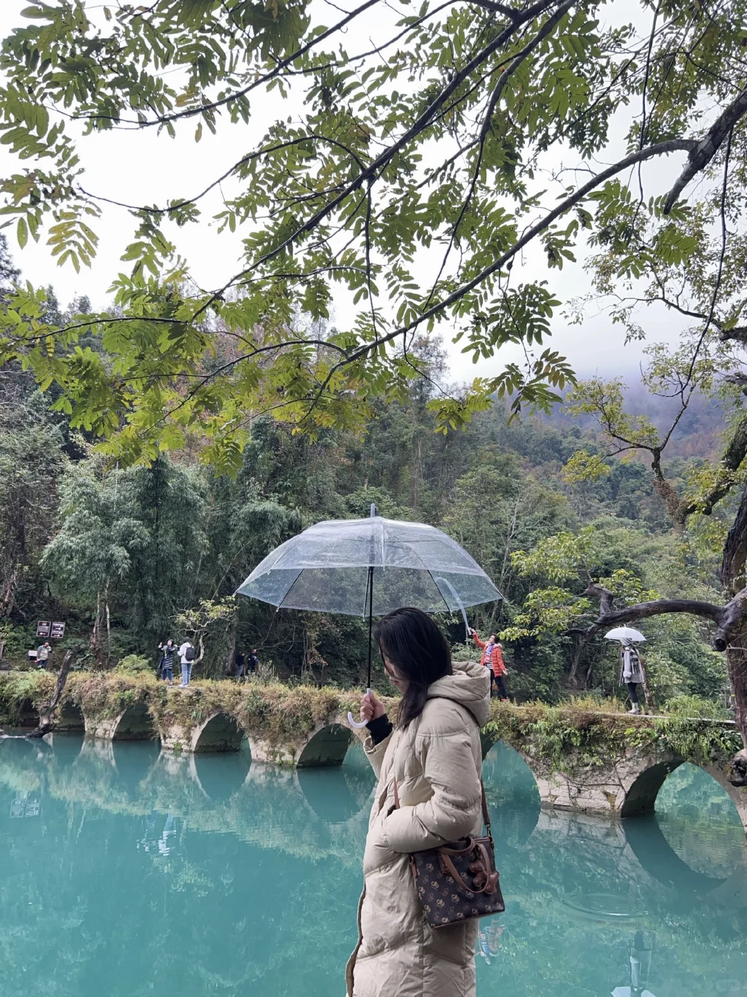 1.20📍贵州已回，荔波小七孔就这😓