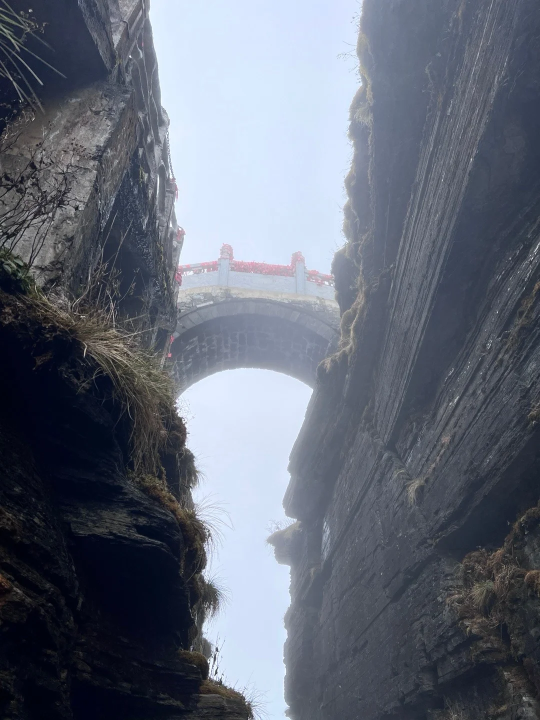 1.20📍贵州已回，荔波小七孔就这😓