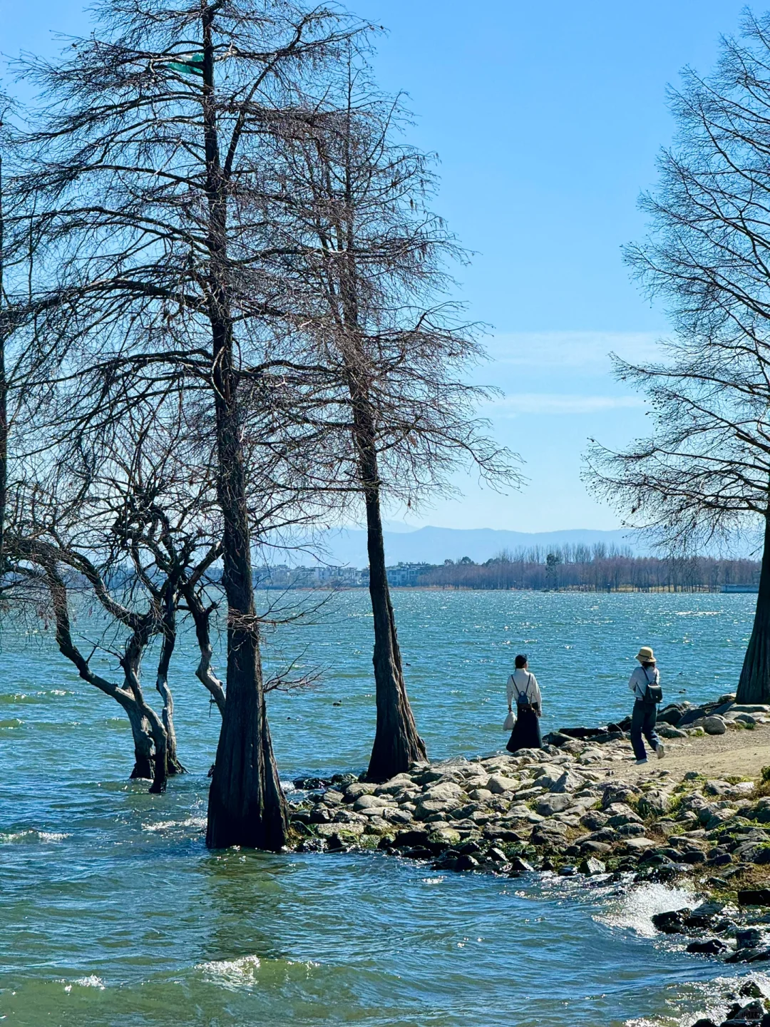 去大理之前❗️有人告诉我这些就好了😭。。