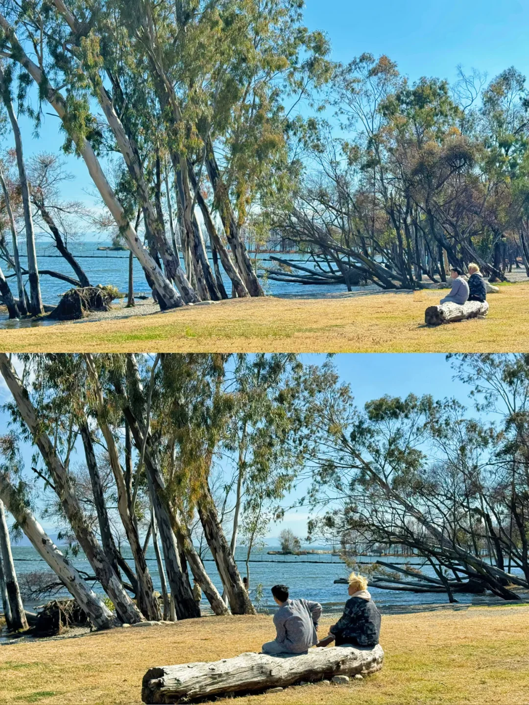 去大理之前❗️有人告诉我这些就好了😭。。
