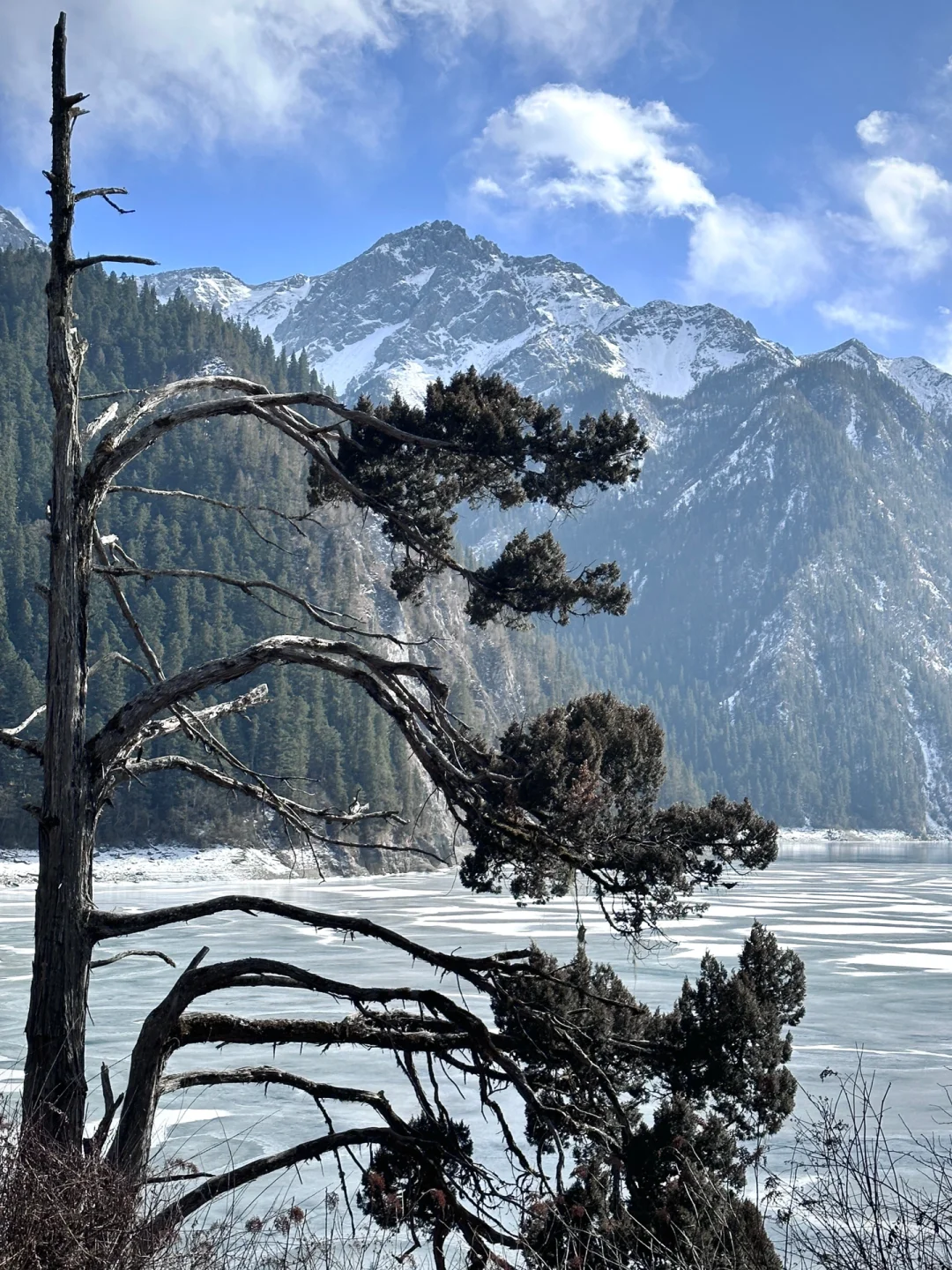 九寨沟旅游攻略✅分享给春节去旅游的姐妹❤️