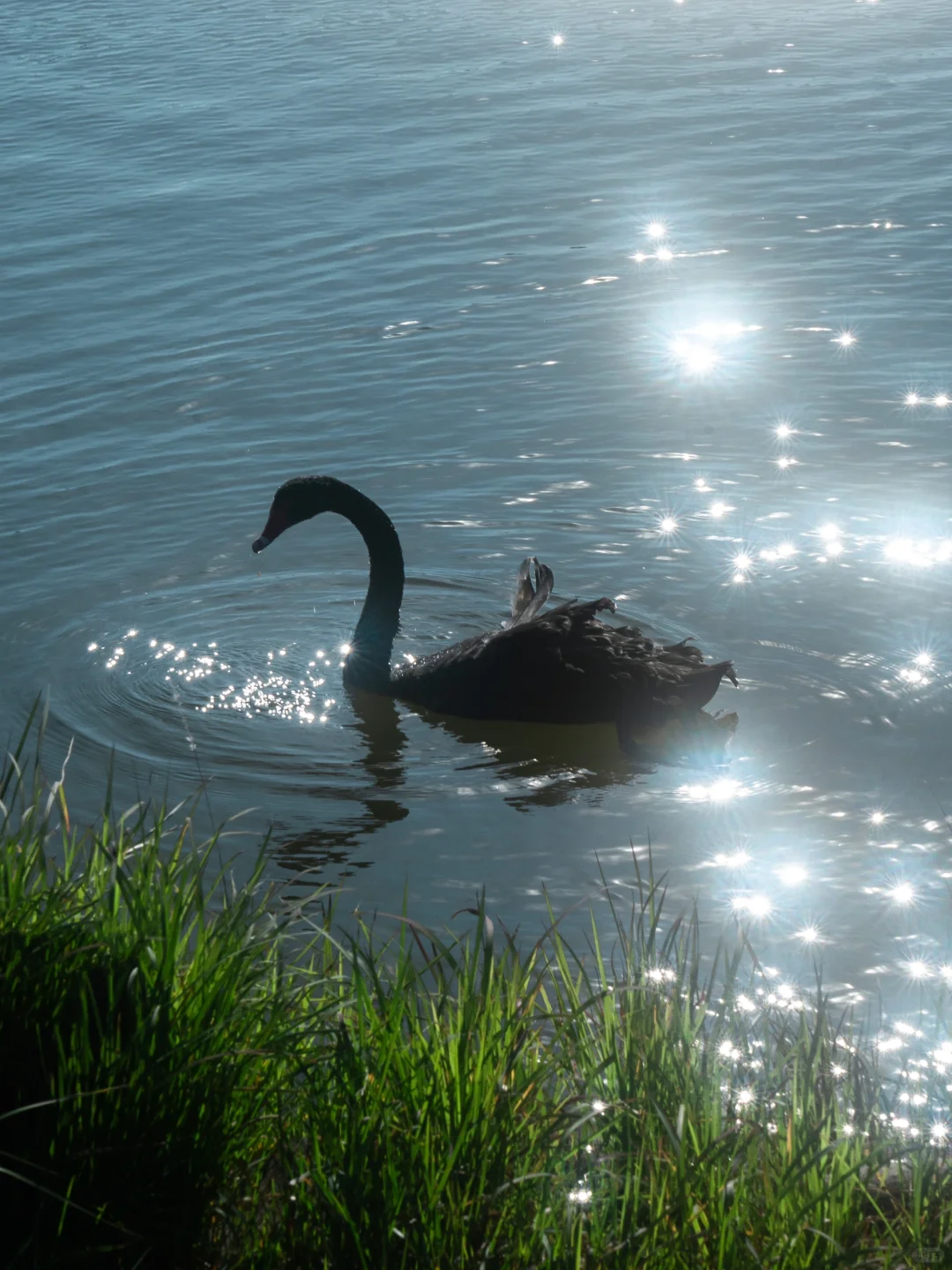 “绿色是流动舒展的生命。”