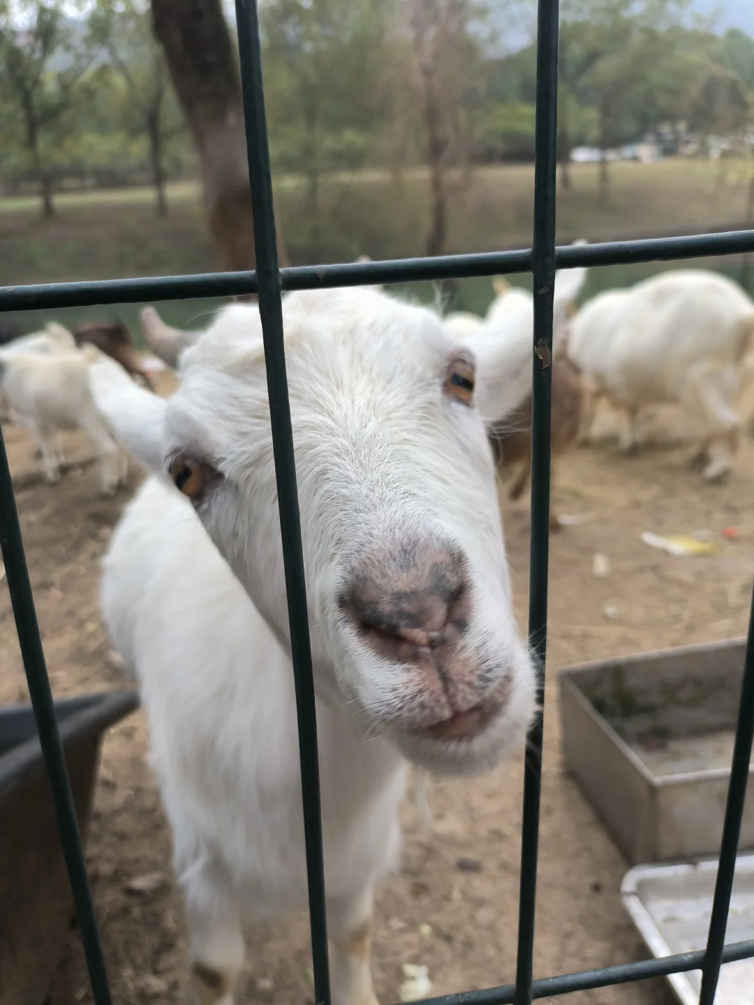Collecting the sunset in Suzhou, China