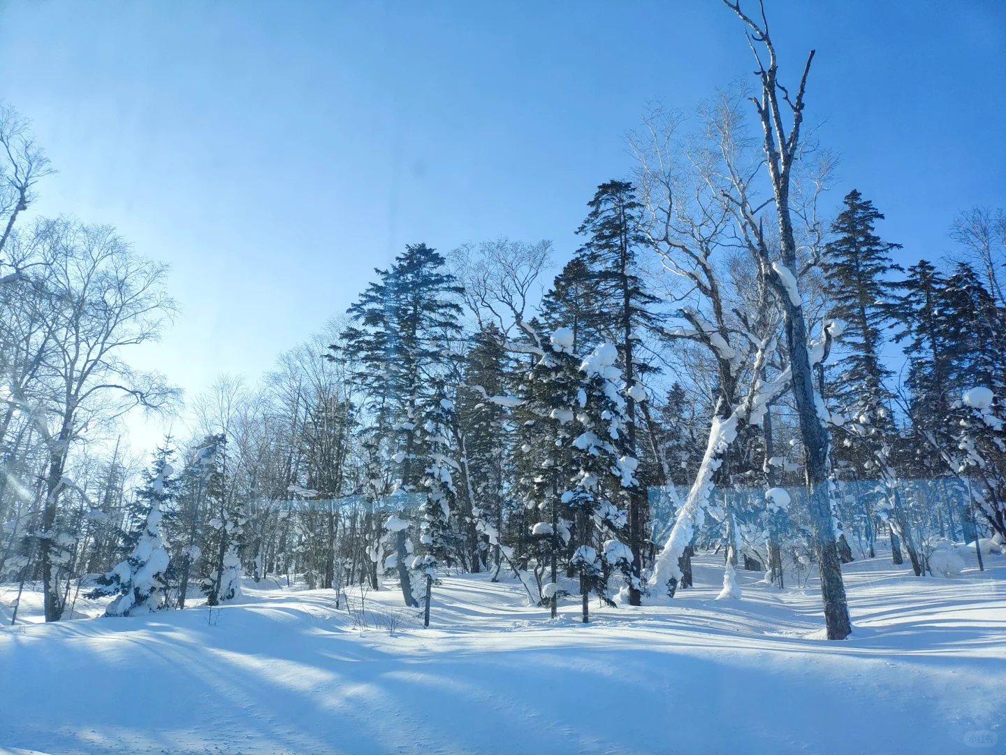 哈尔滨旅游攻略