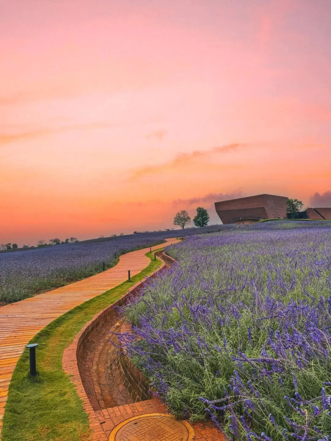 比起丽江大理，这才是云南冬天最佳旅行地！！