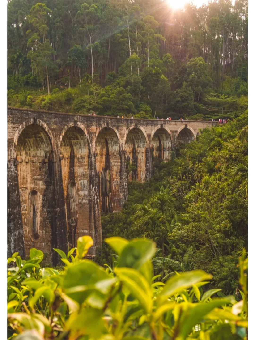 一眼看懂！斯里兰卡秒懂地图🗺❤