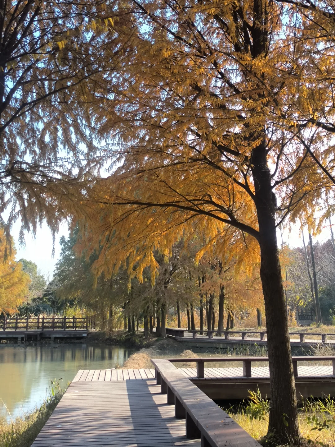 Collecting the sunset in Suzhou, China
