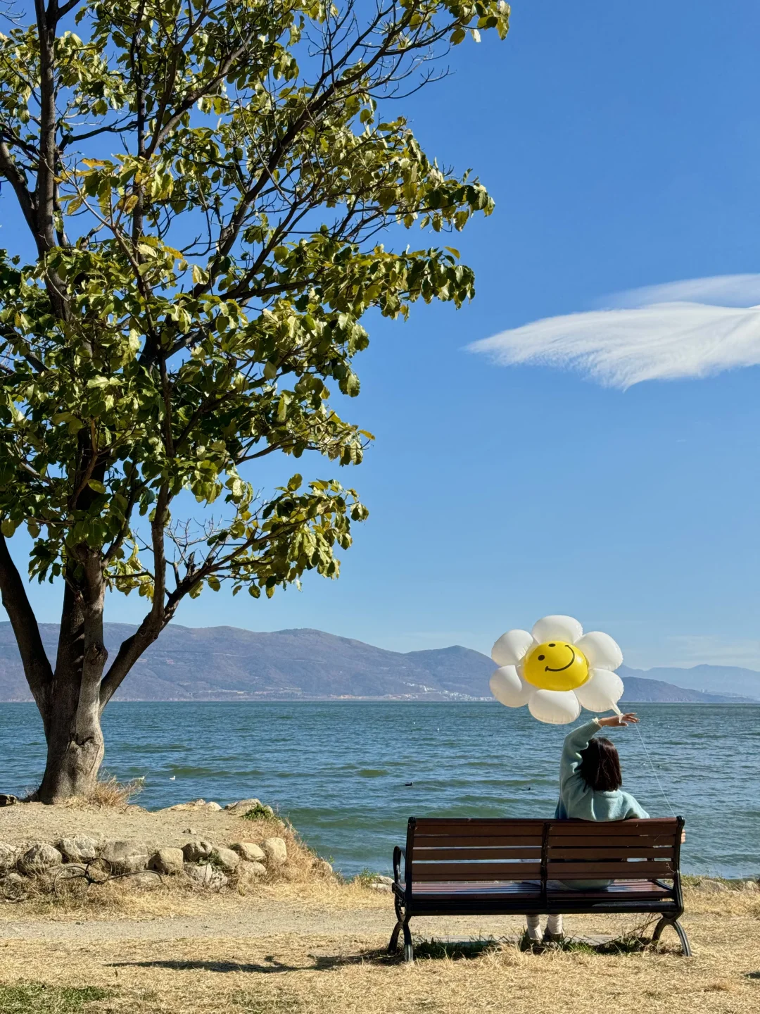 去大理之前❗️有人告诉我这些就好了😭。。