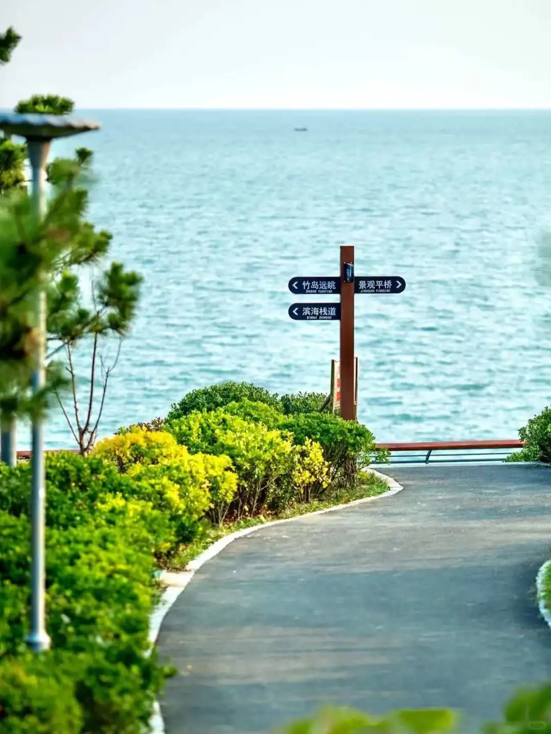 春节青岛👉本地人旅游攻略（最新出炉）节目单