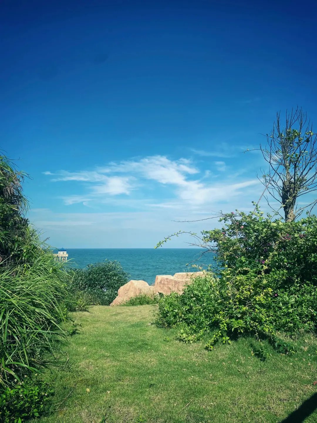 迄今为止，我最喜欢的海滨小城出现了🌴