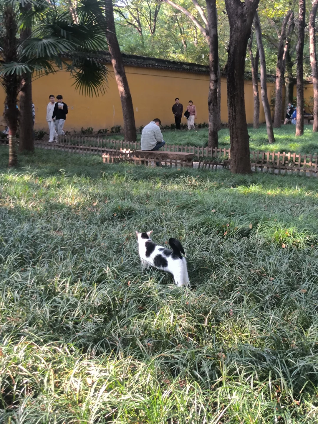 Collecting the sunset in Suzhou, China