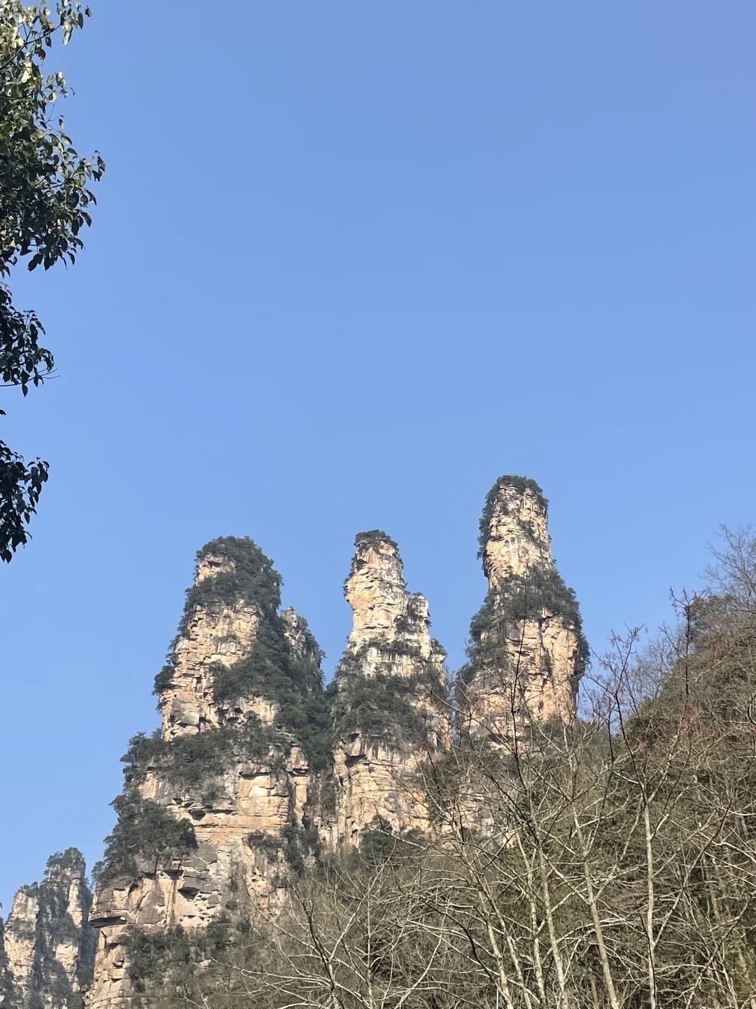 张家界国家森林公园不排队不费腿版