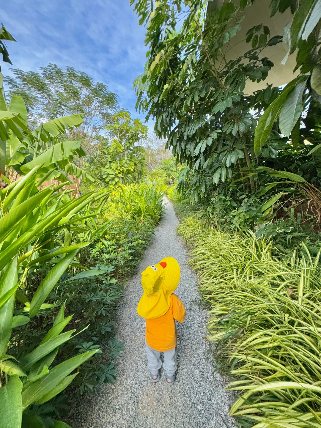 三亚生态公园…果然100岁以下儿童都适合！！