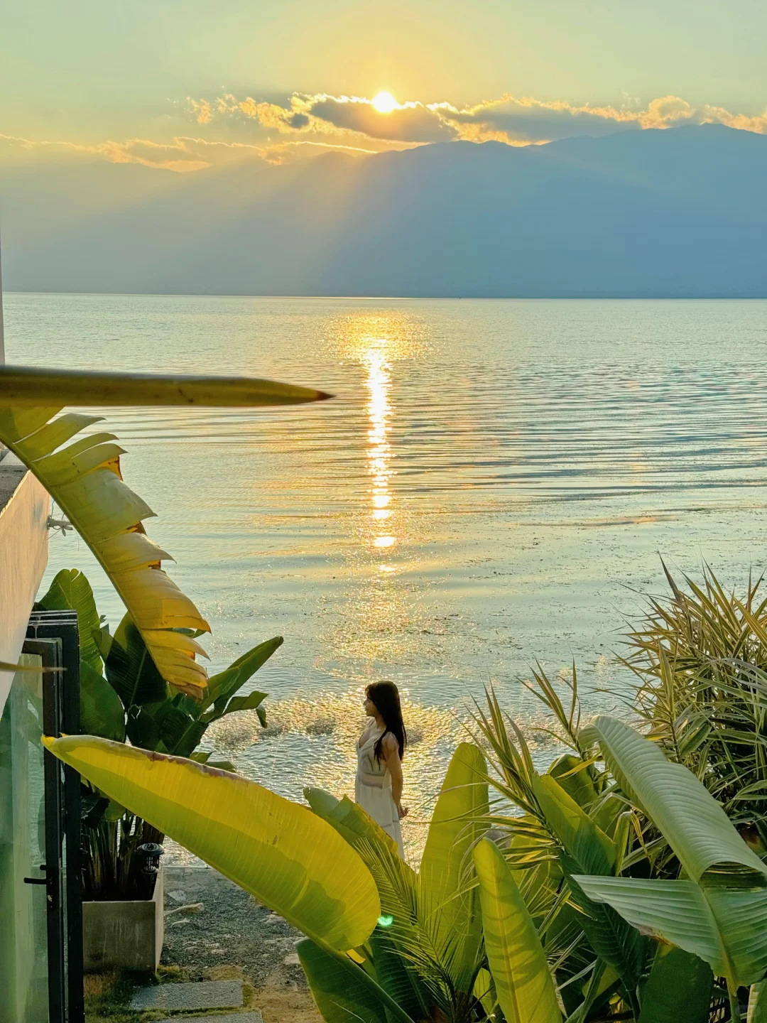 去大理之前❗️有人告诉我这些就好了😭。。