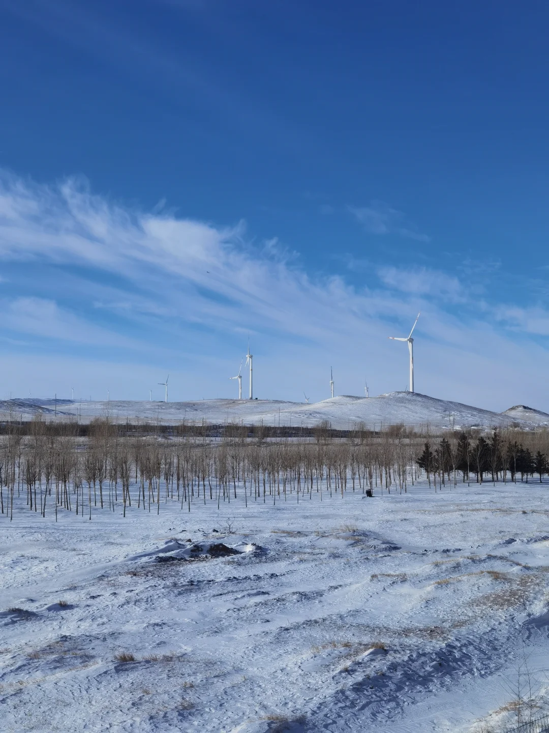 去了一百多个城市后觉得有意思的景点分享~