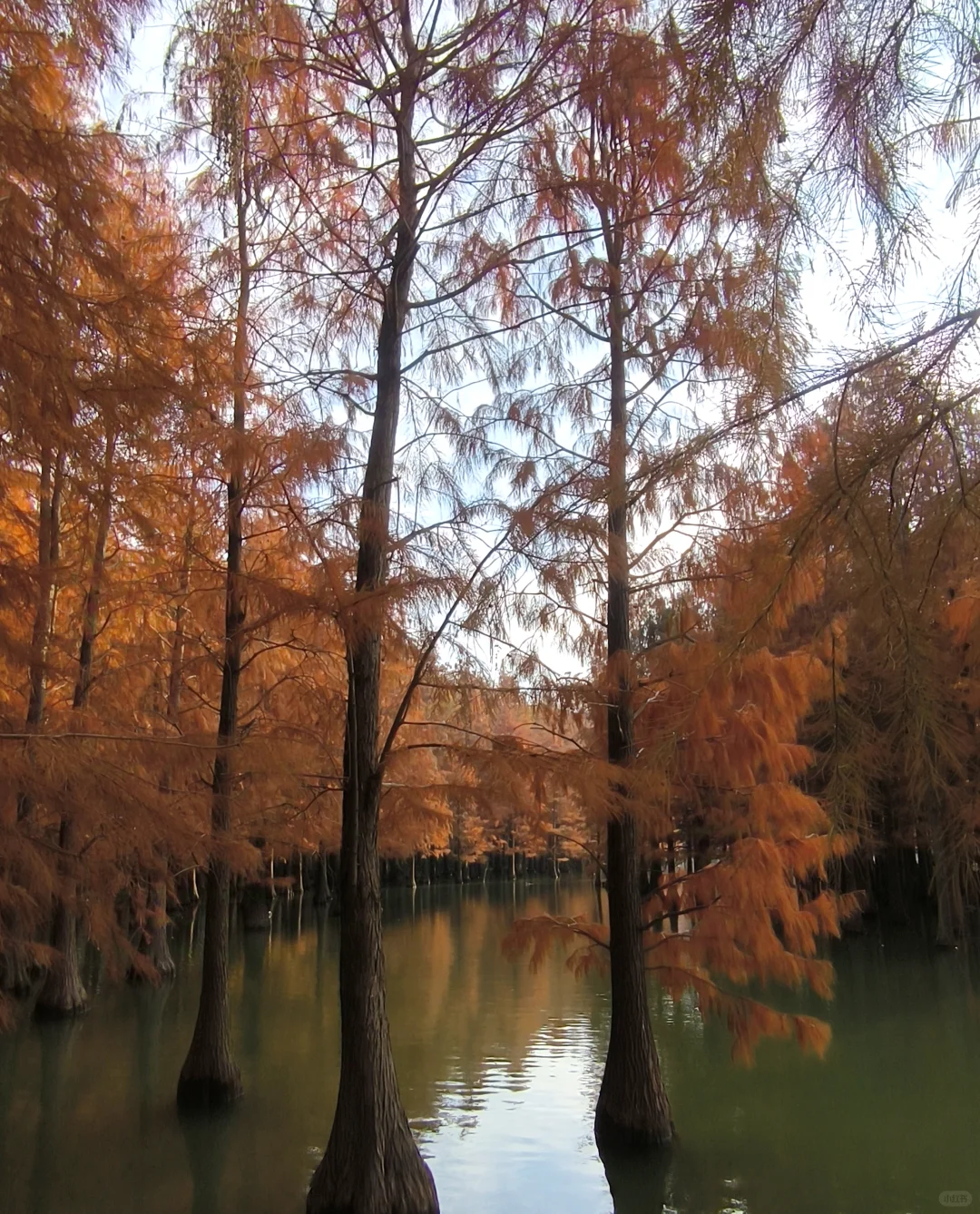 Collecting the sunset in Suzhou, China