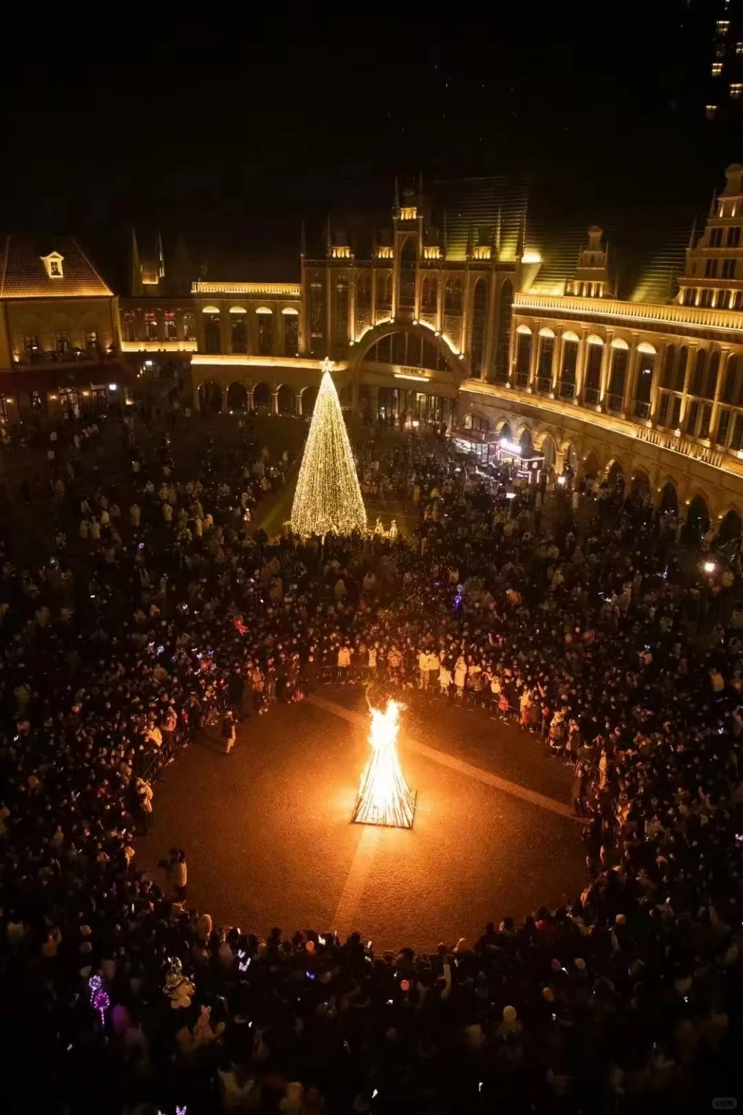 春节青岛👉本地人旅游攻略（最新出炉）节目单