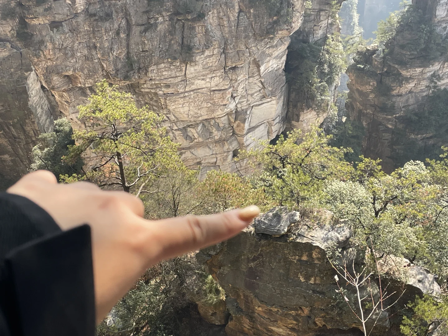 张家界国家森林公园不排队不费腿版