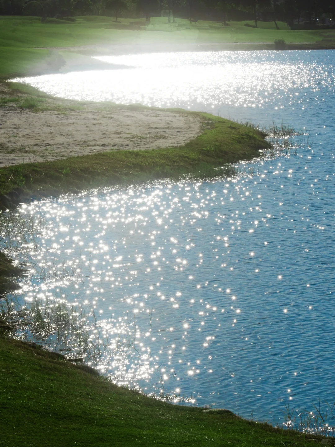 “绿色是流动舒展的生命。”