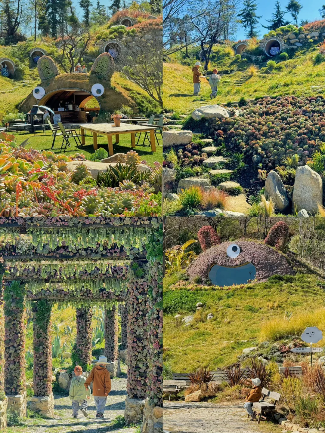 去大理之前❗️有人告诉我这些就好了😭。。