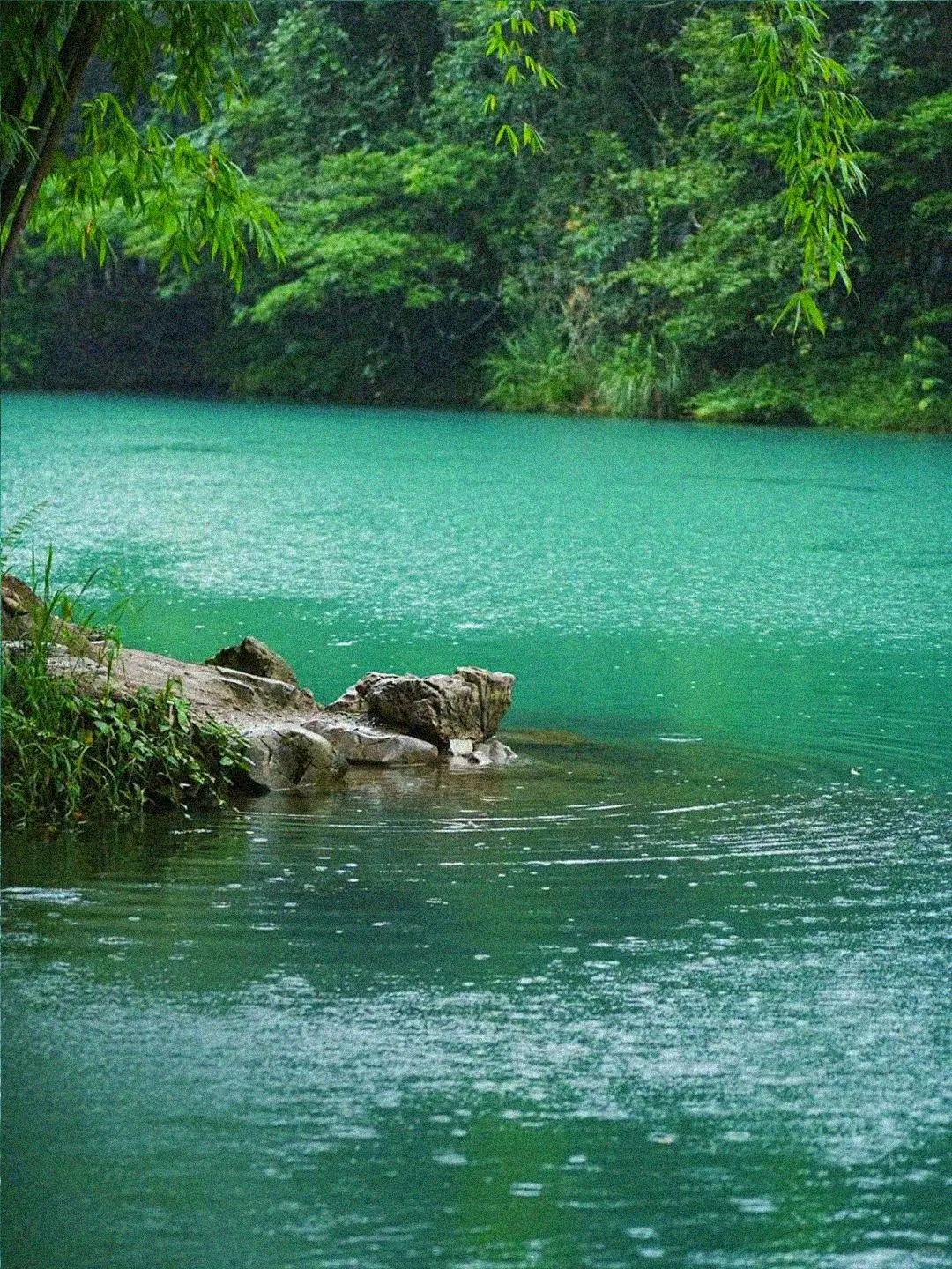 1月贵州旅游已回，美到让我怀疑人生！