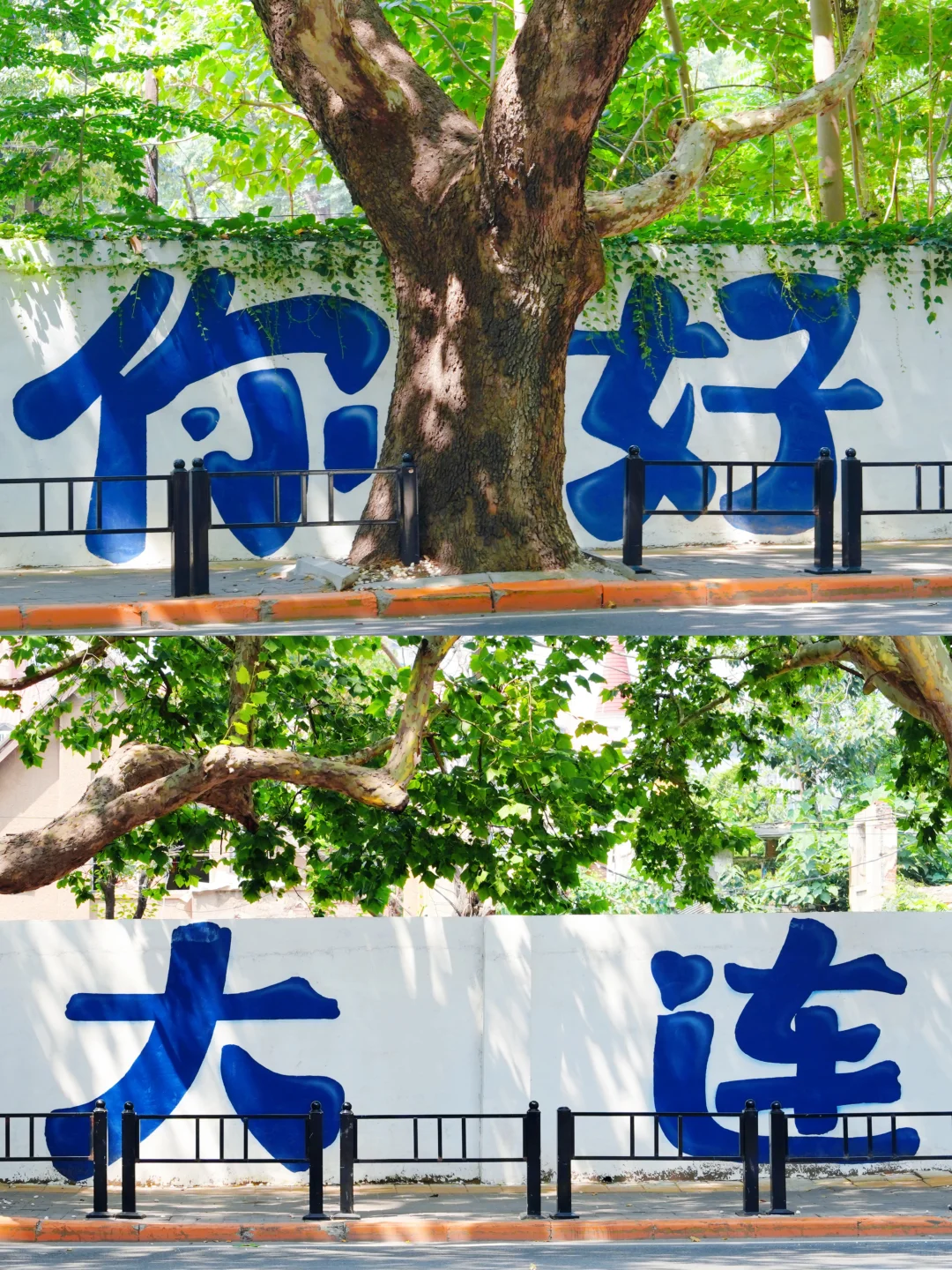 🌊迄今为止，我最喜欢的城市出现了！！！