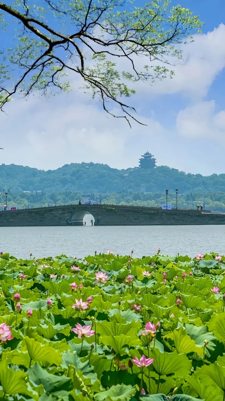 2024年中国人气最火的十大景区