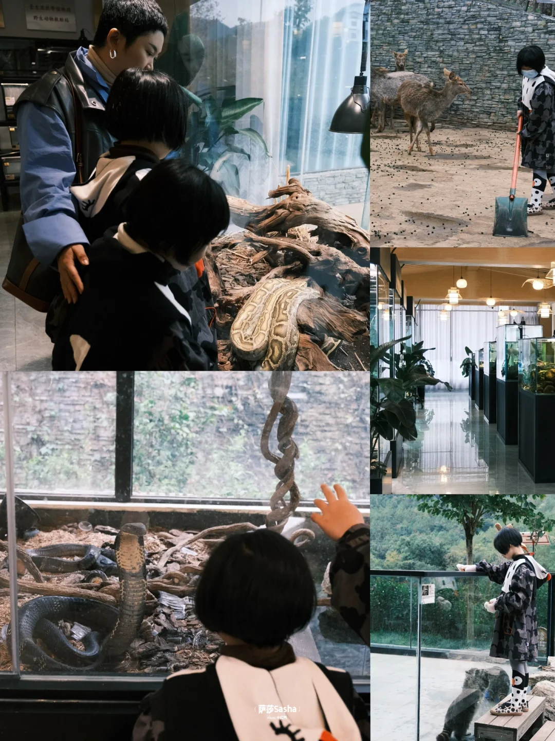 藏不住了‼️云南还有这么冷门适合遛娃的小城