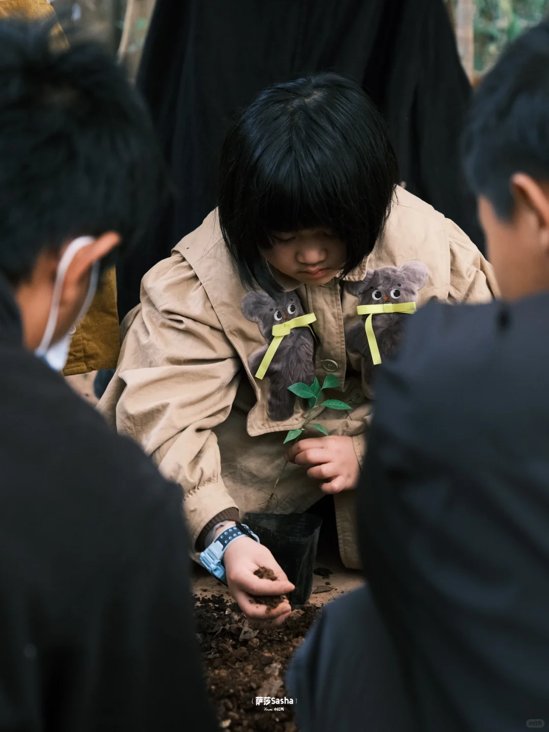 藏不住了‼️云南还有这么冷门适合遛娃的小城