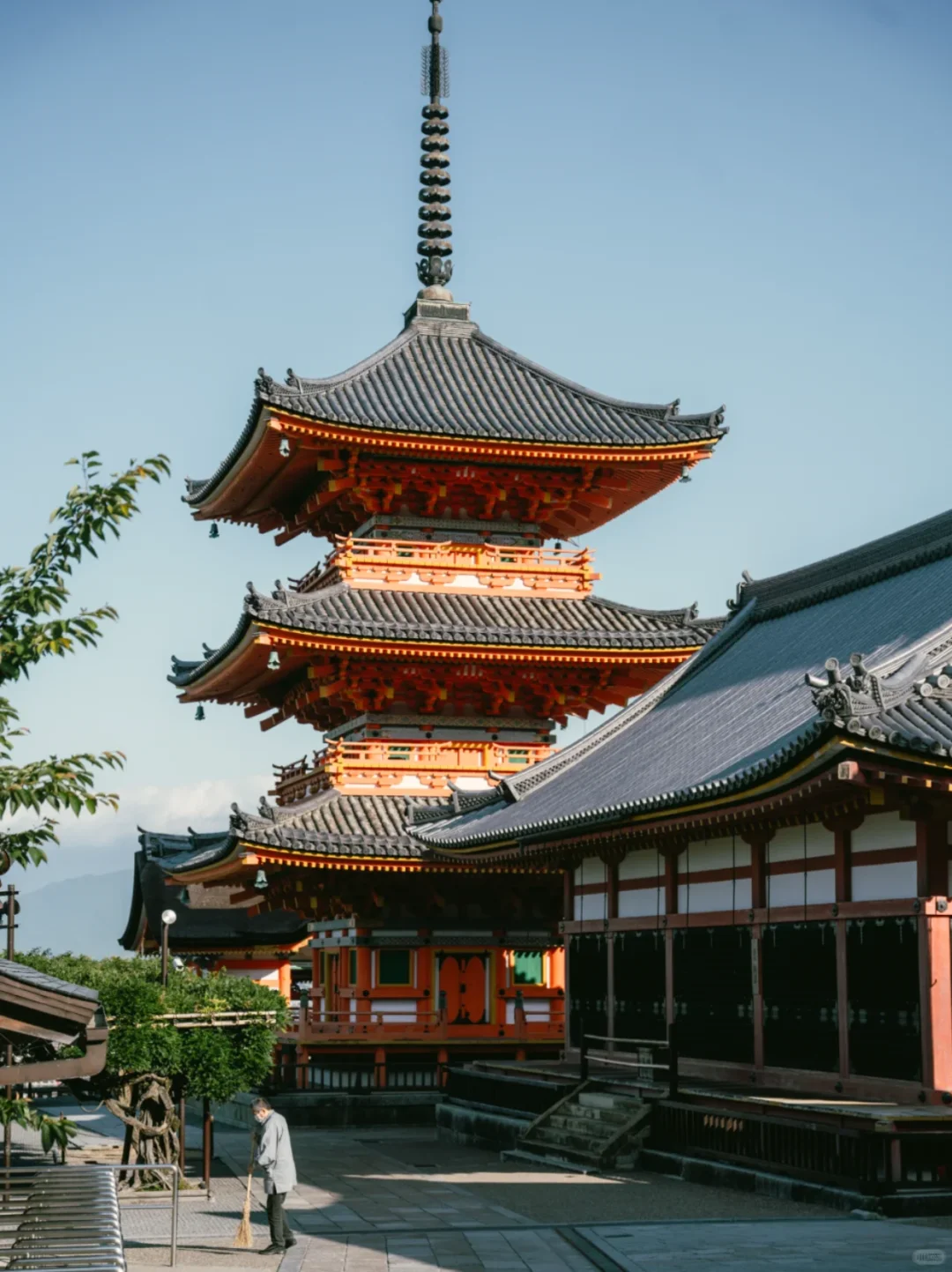 🇲🇾✈日本9天8夜旅游只花了6000‼️