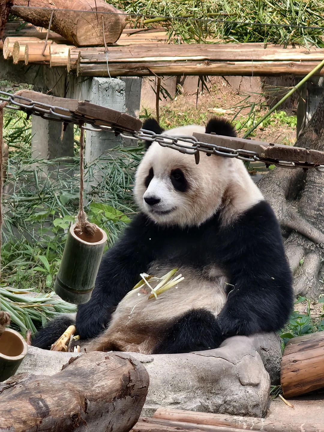 听劝听劝‼重庆旅游攻略及避雷指南‼