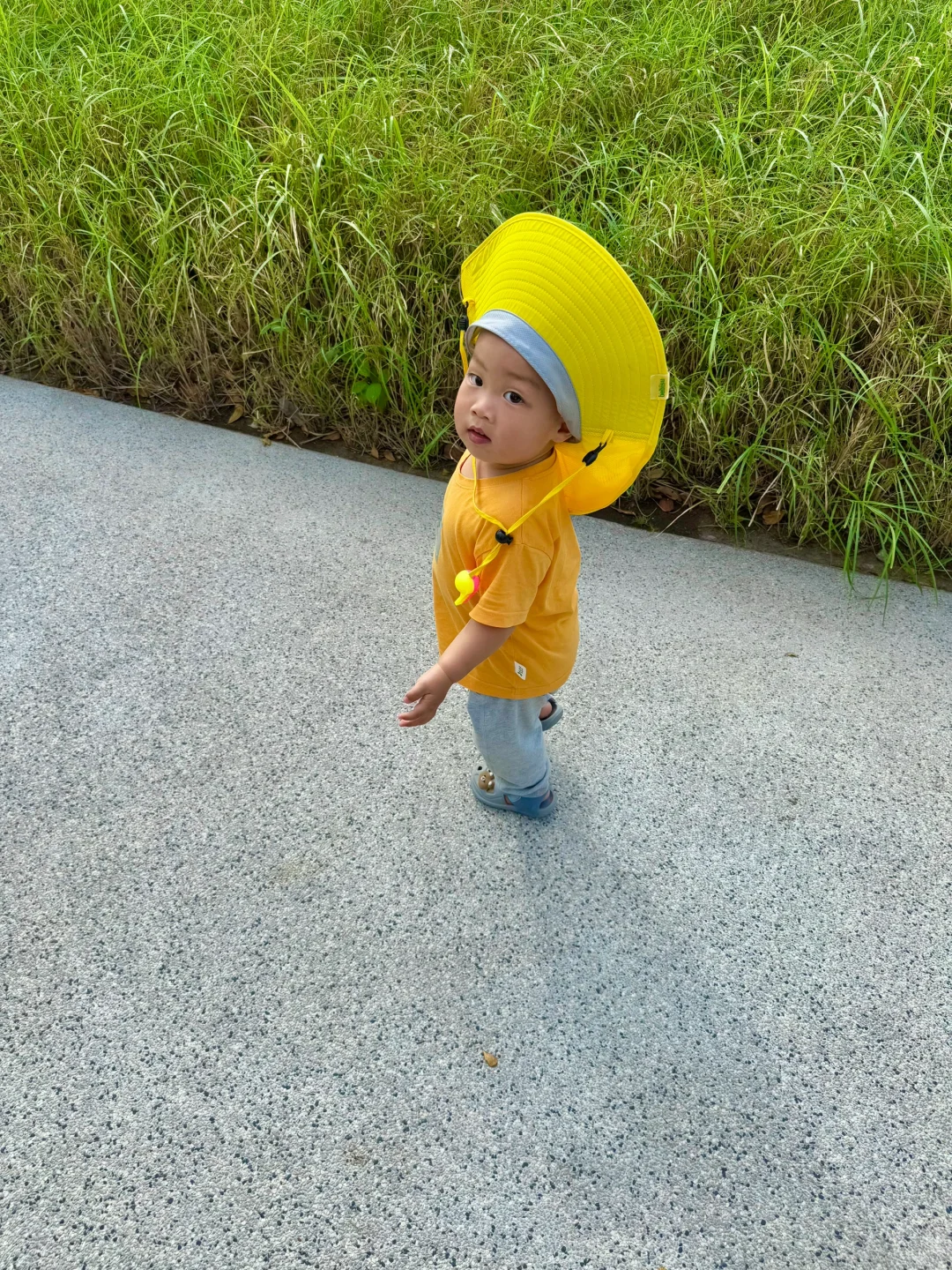 三亚生态公园…果然100岁以下儿童都适合！！