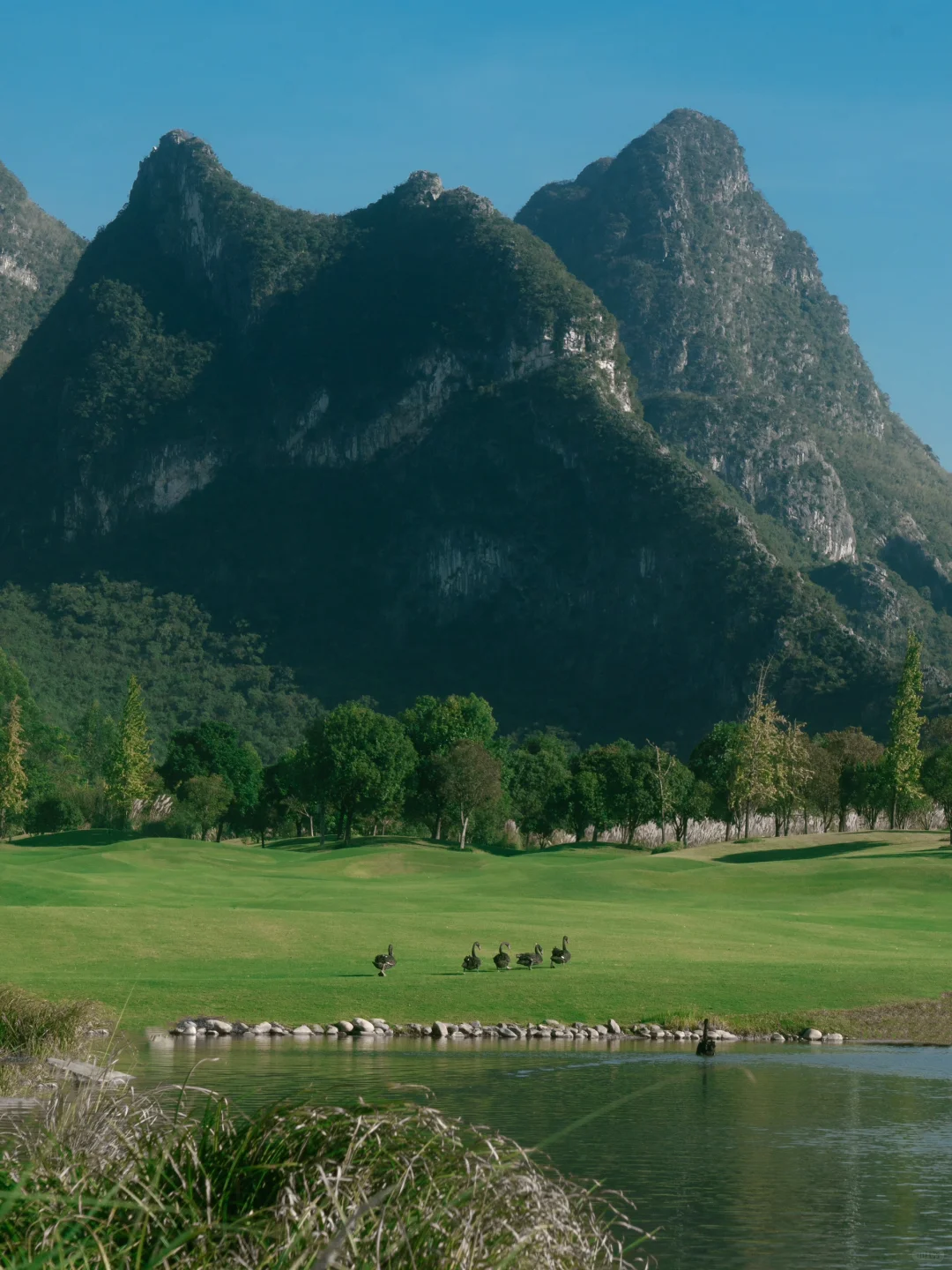 “绿色是流动舒展的生命。”