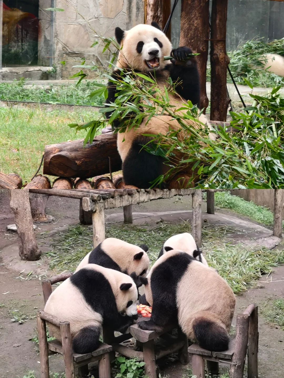 听劝听劝‼重庆旅游攻略及避雷指南‼