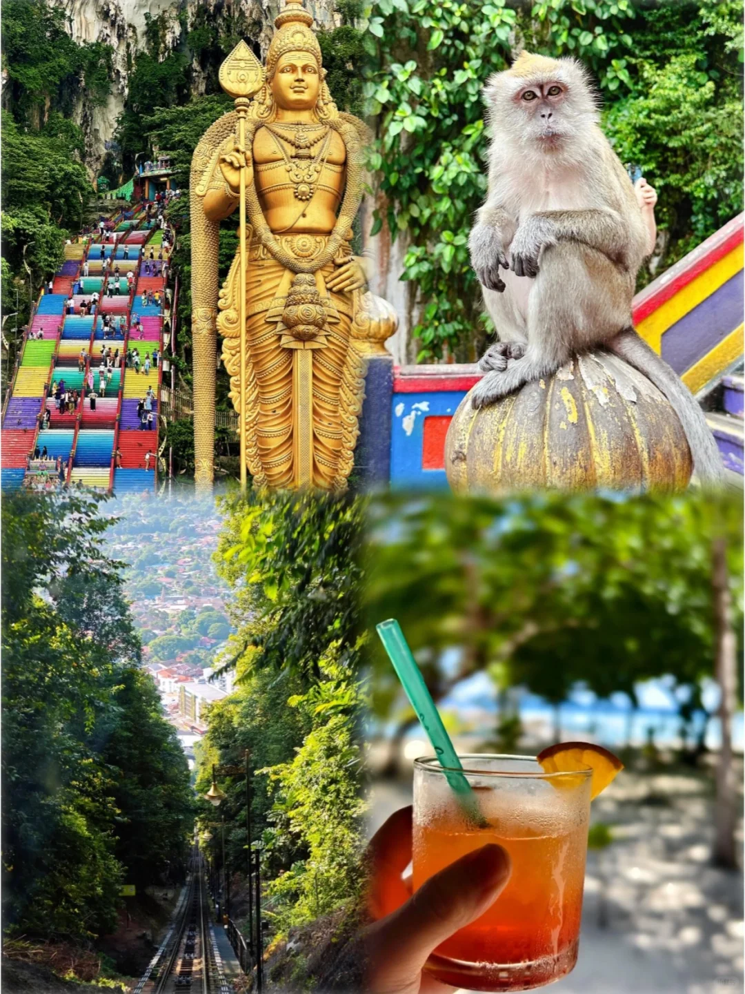 听劝🙋计划1-2月来马来西亚的姐妹快码住!