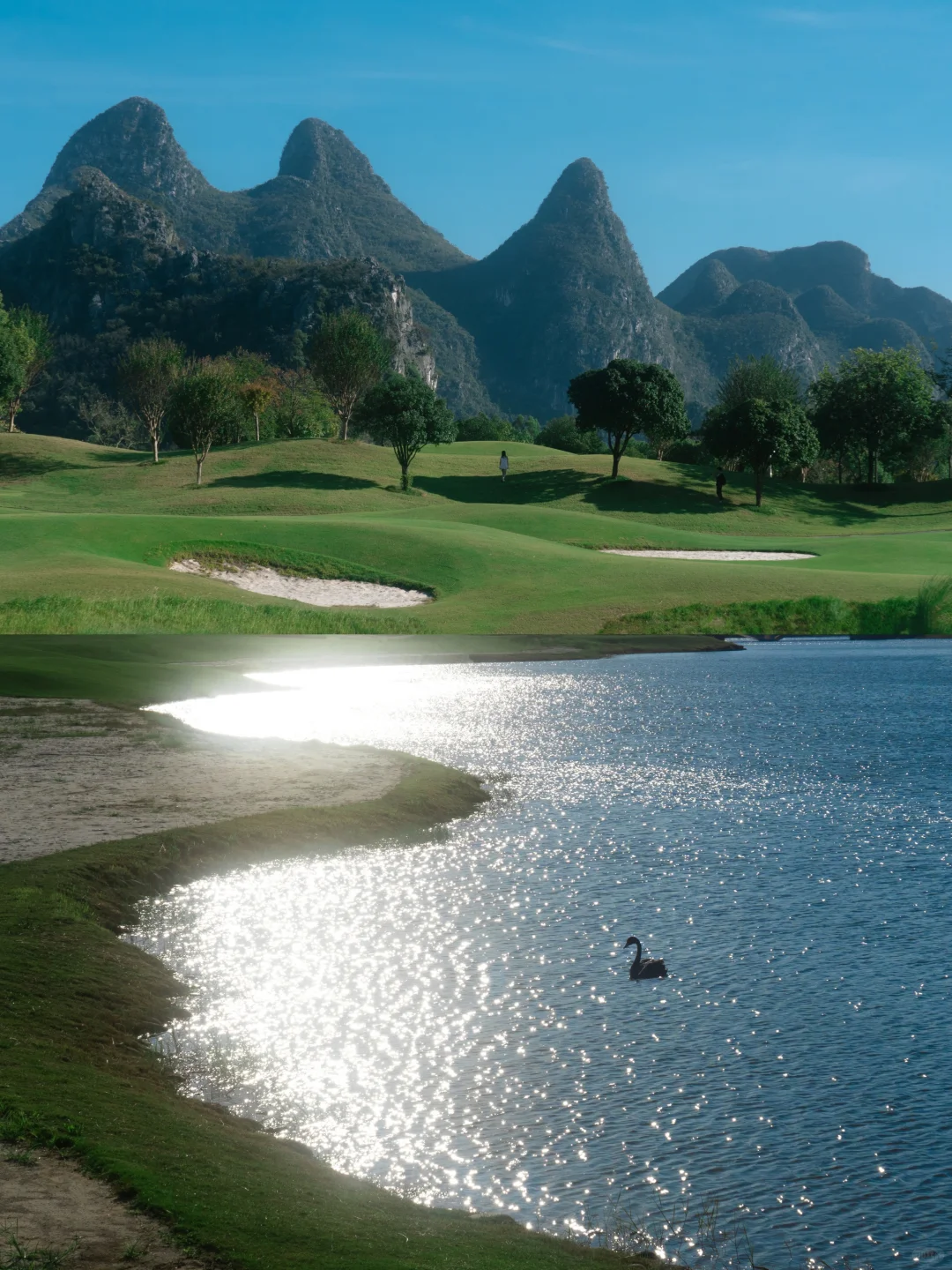 “绿色是流动舒展的生命。”