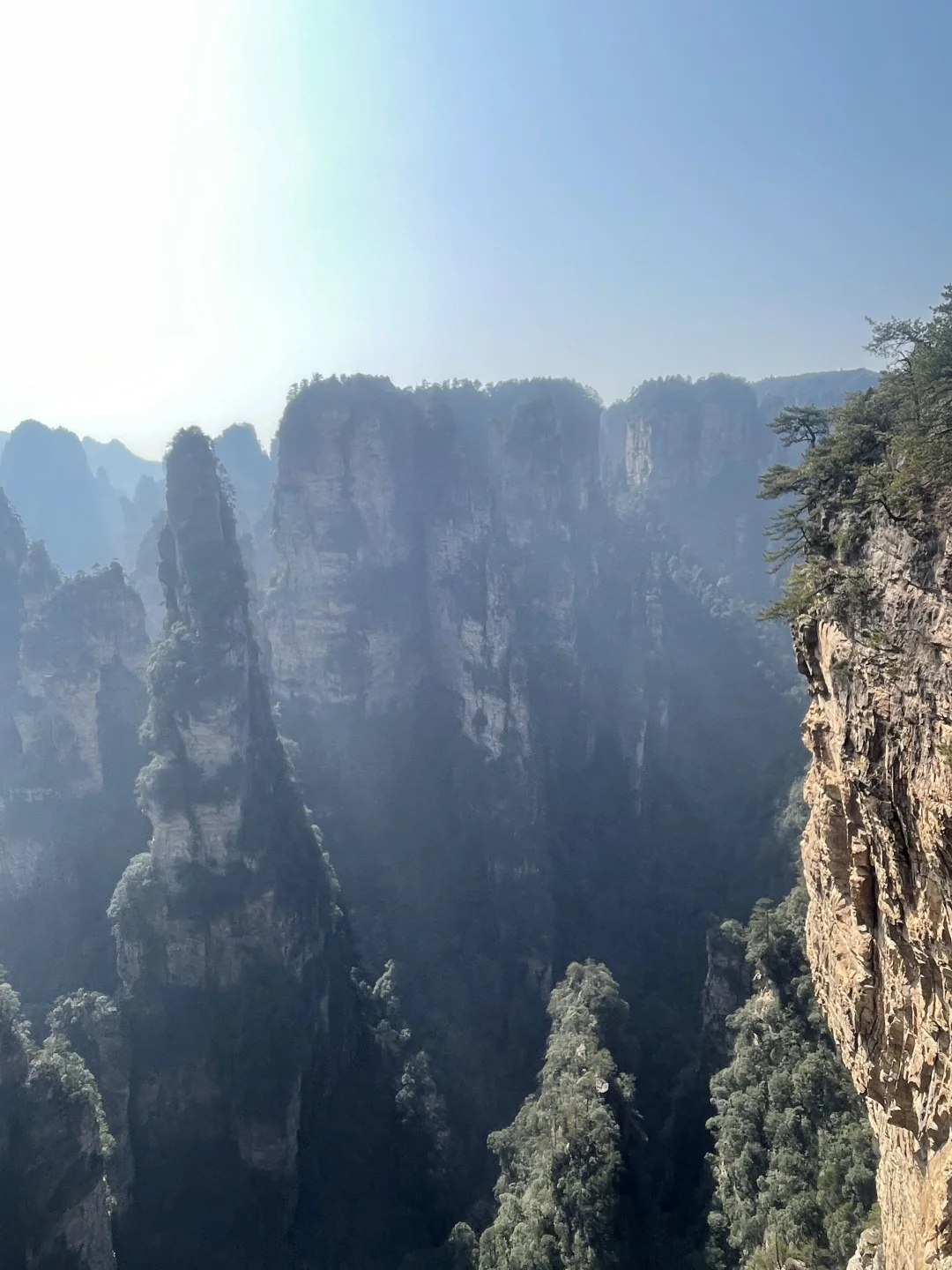 张家界国家森林公园不排队不费腿版