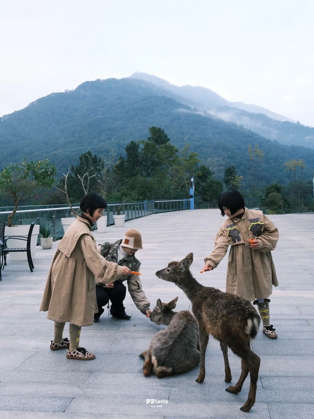 藏不住了‼️云南还有这么冷门适合遛娃的小城