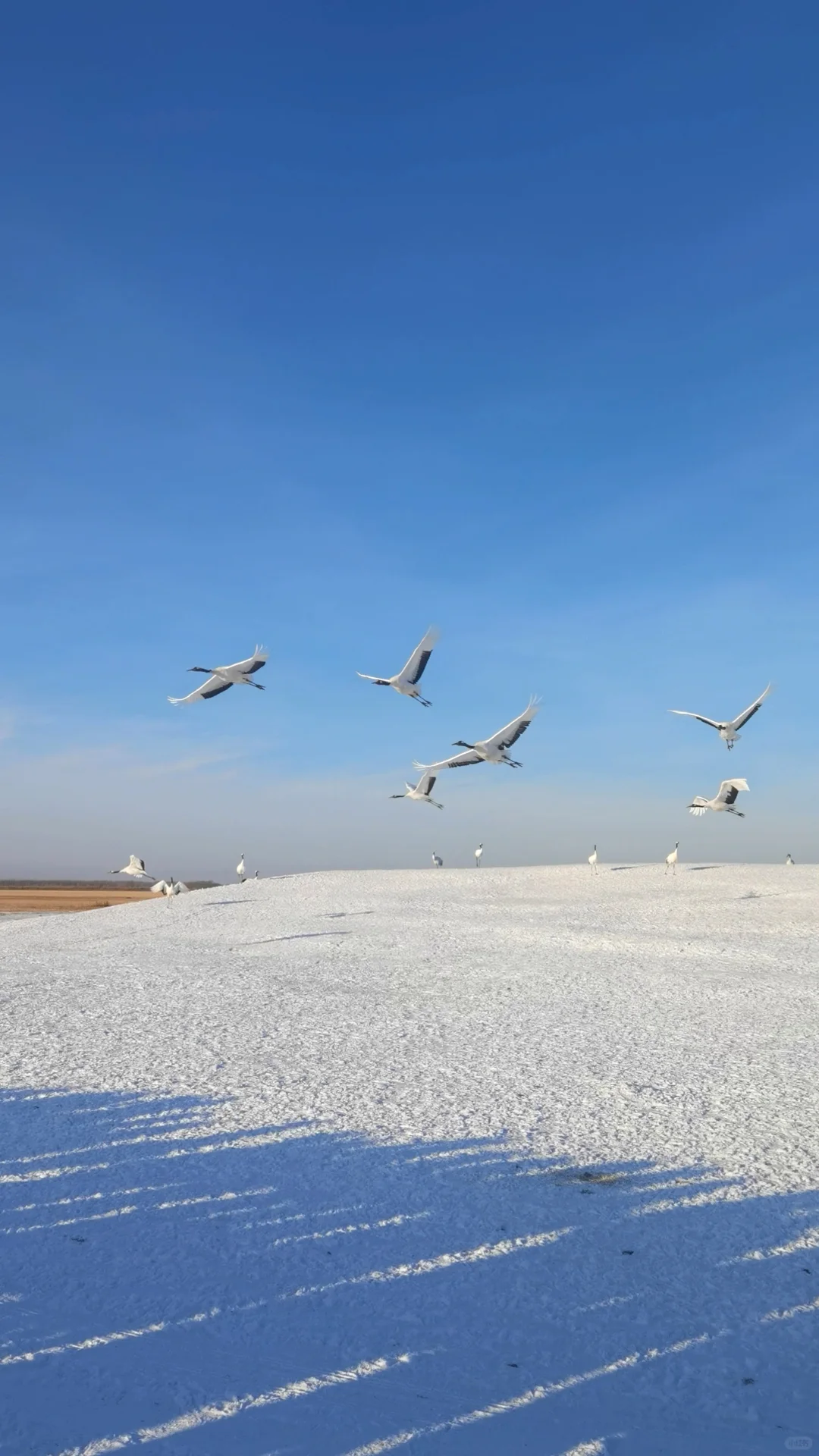 去了一百多个城市后觉得有意思的景点分享~