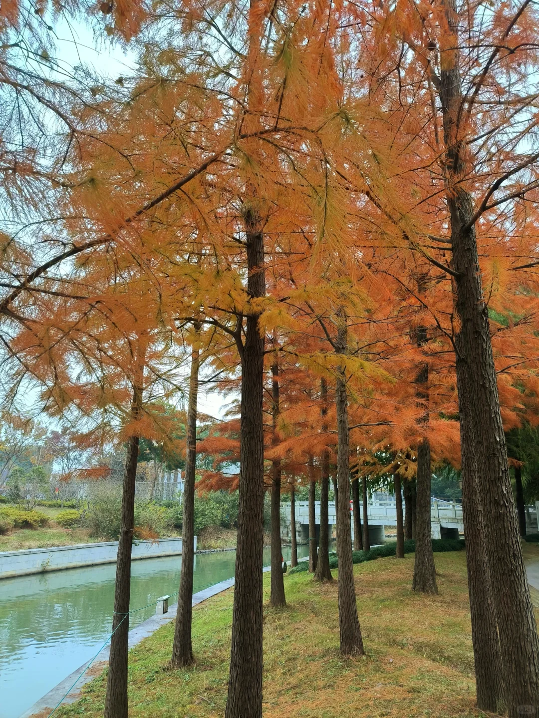 Collecting the sunset in Suzhou, China