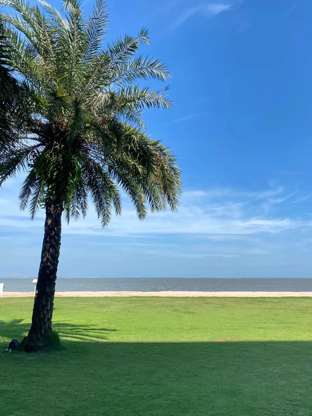 迄今为止，我最喜欢的海滨小城出现了🌴