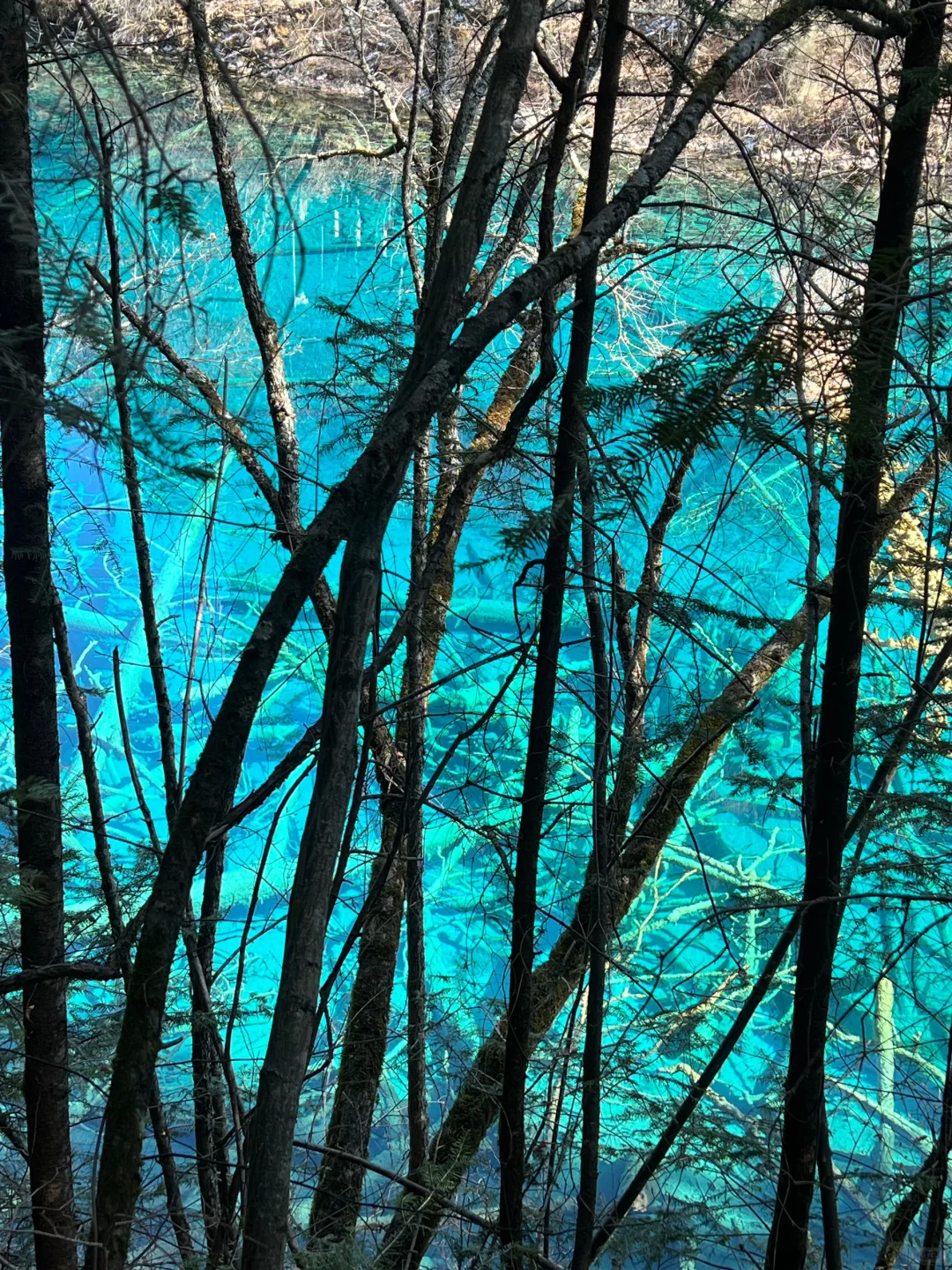 九寨沟旅游攻略✅分享给春节去旅游的姐妹❤️