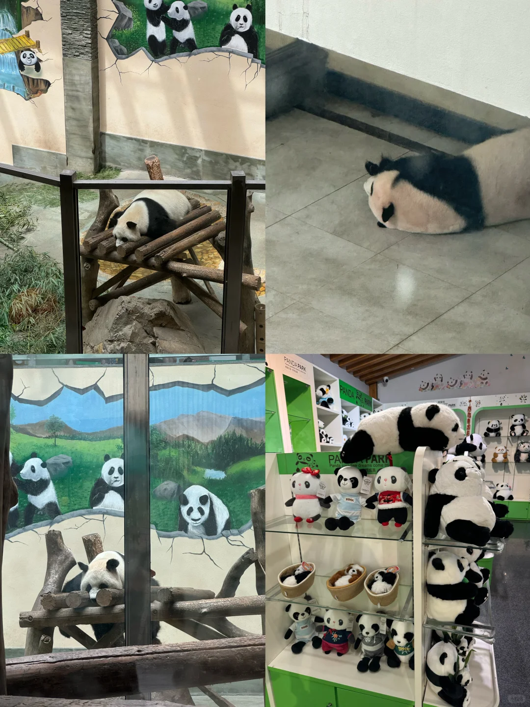 南京周边📍两大5A景区免费开放（附游玩攻略）