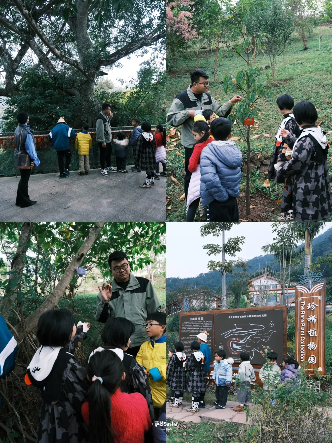 藏不住了‼️云南还有这么冷门适合遛娃的小城