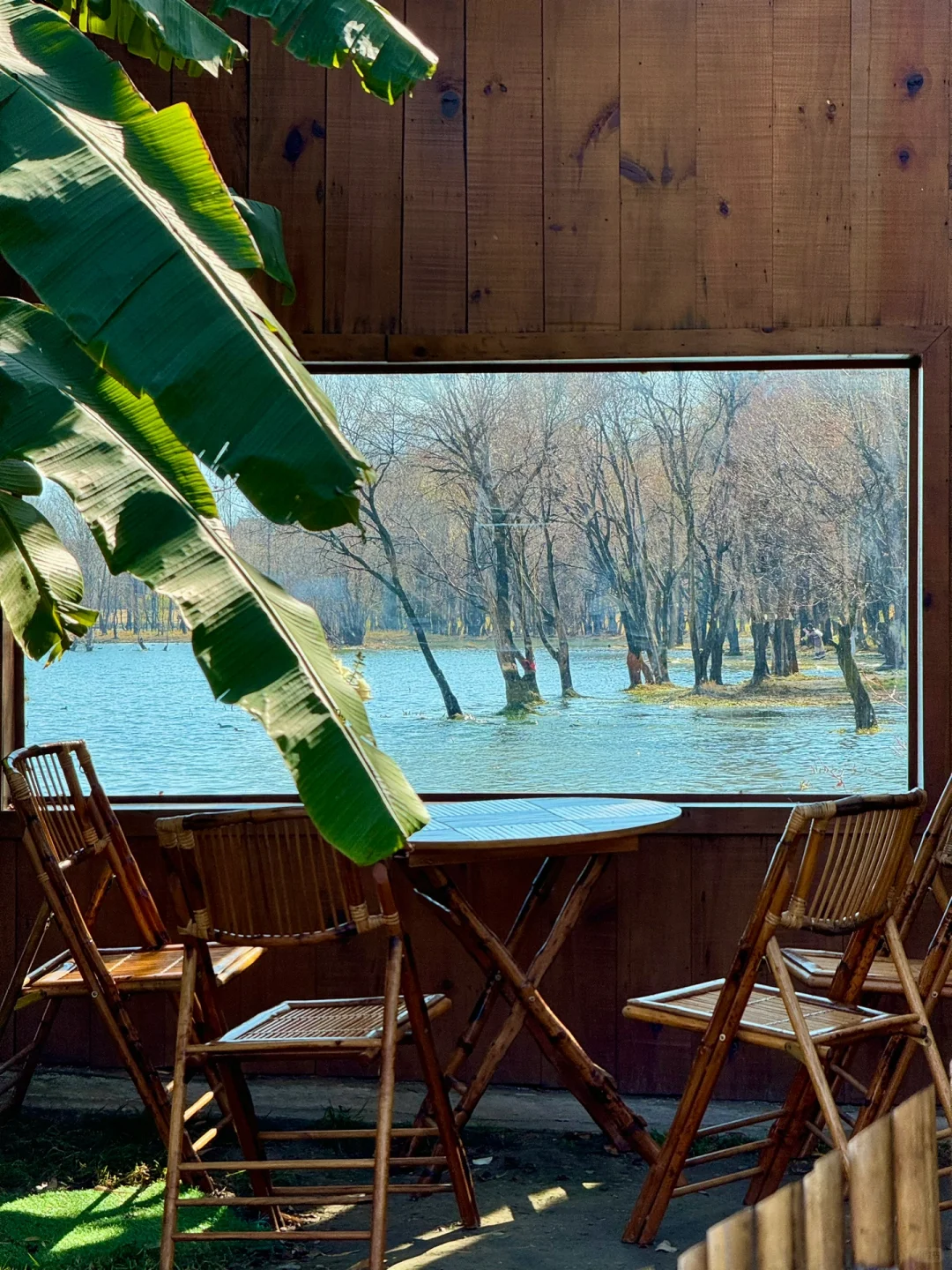 去大理之前❗️有人告诉我这些就好了😭。。