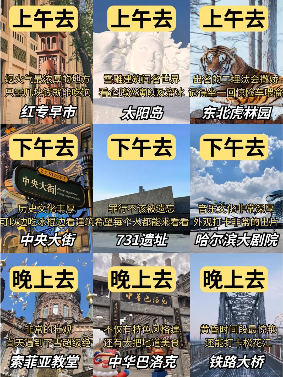 2025哈尔滨旅游攻略红黑榜|早看少踩坑💢