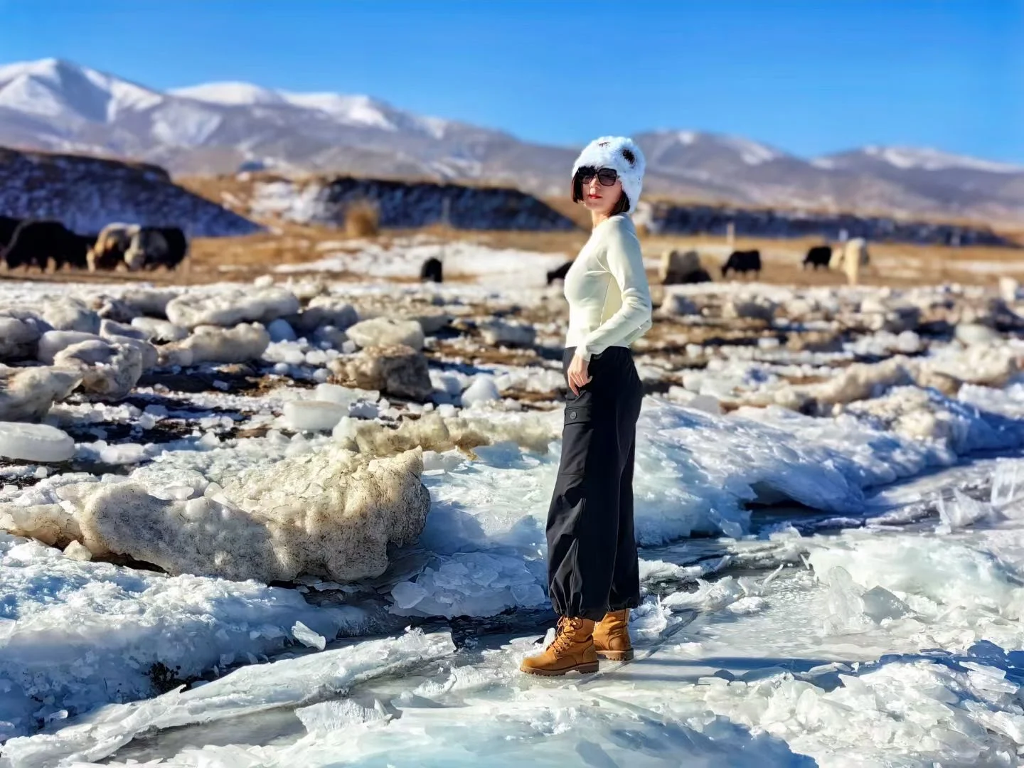 2025年西北大环线旅游❤️7日游旅游攻略