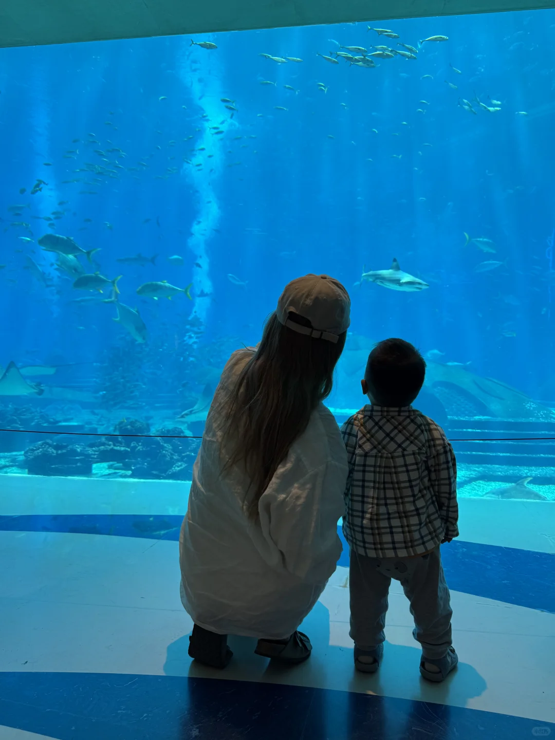 三亚生态公园…果然100岁以下儿童都适合！！