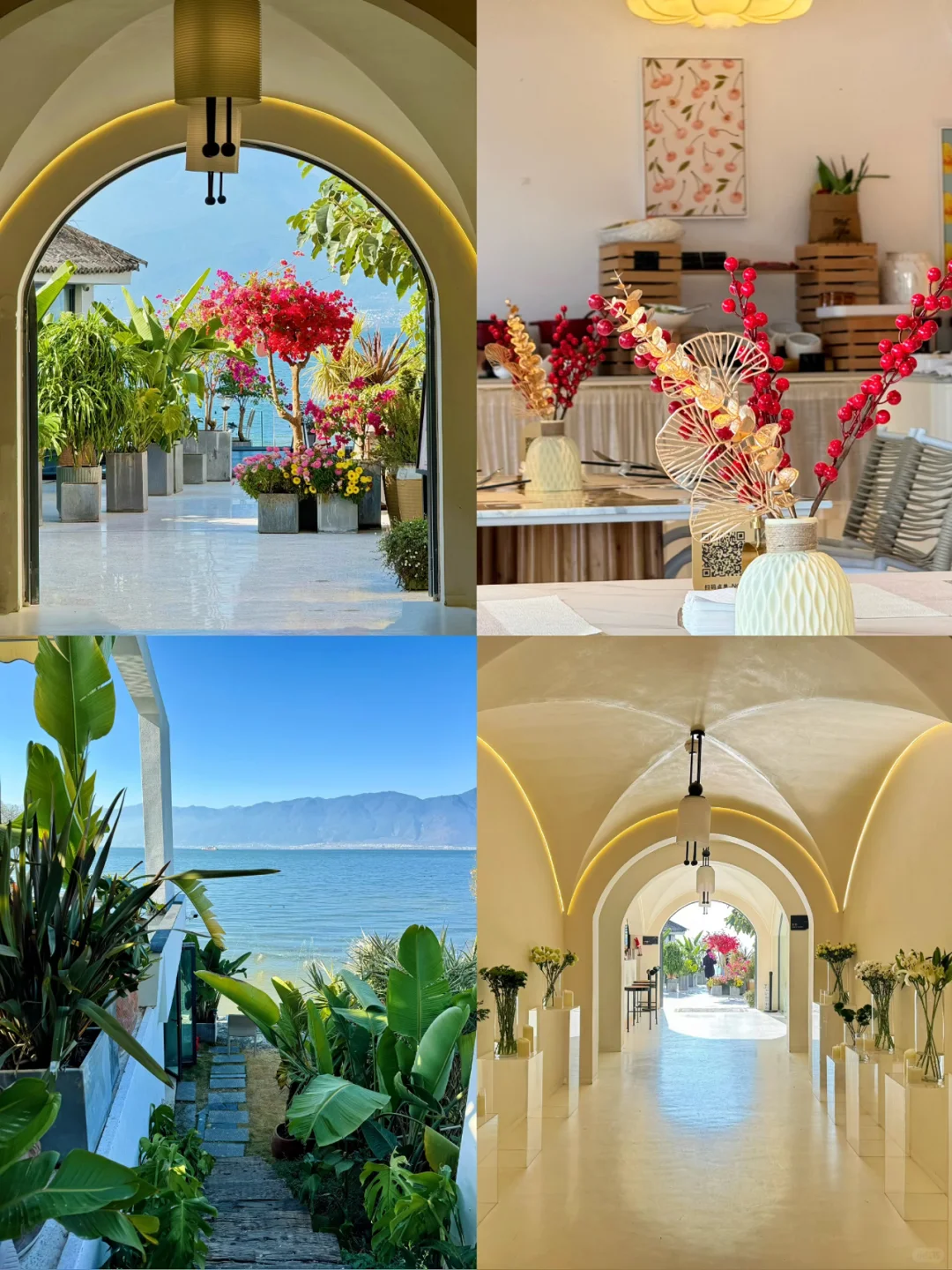 去大理之前❗️有人告诉我这些就好了😭。。